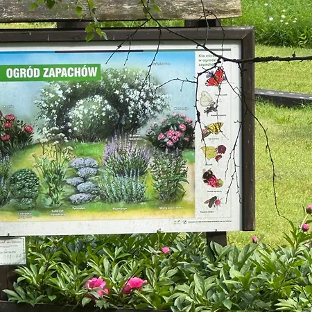 Z Widokiem Na Jezioro Charzykowy